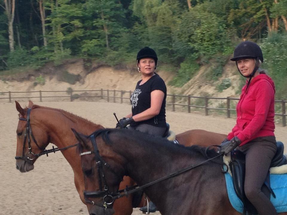 Christianslund ridecenter billede 42