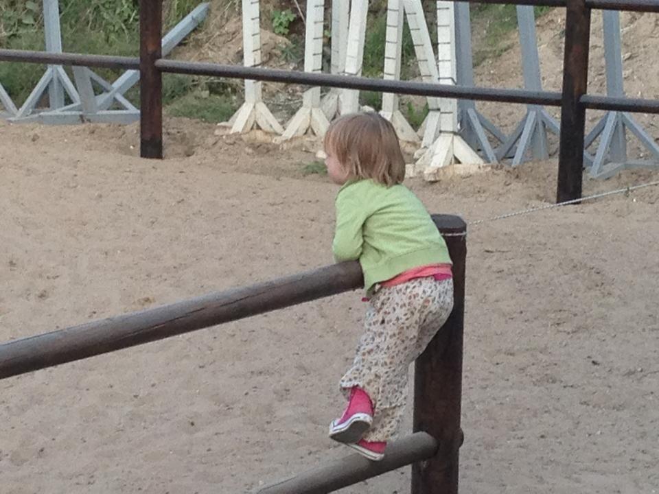 Christianslund ridecenter billede 43