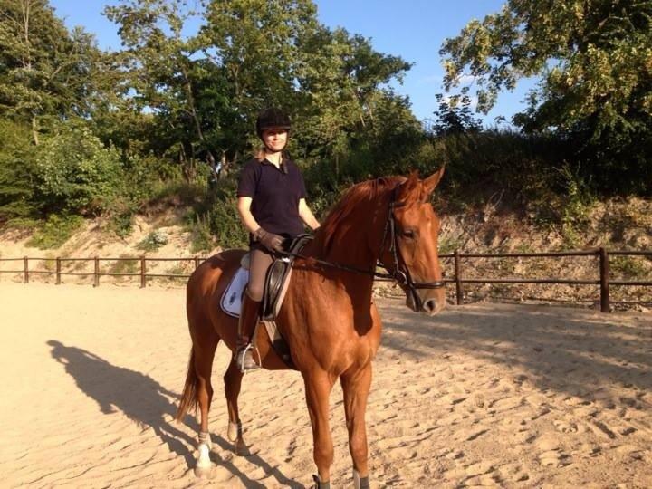 Christianslund ridecenter billede 44