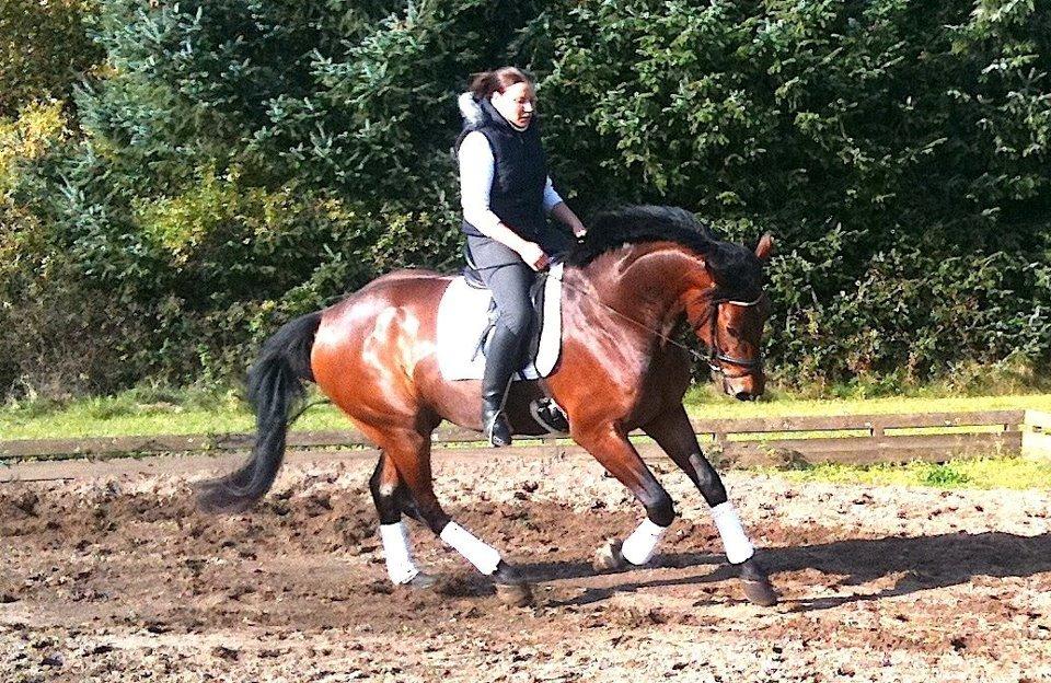 Christianslund ridecenter billede 45