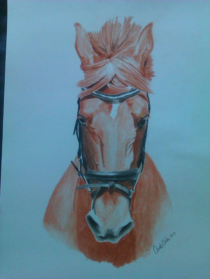 heste tegninger og malerier - spinosa som kunstværk
tegnet med pastelblyanter på parpir a3 billede 2