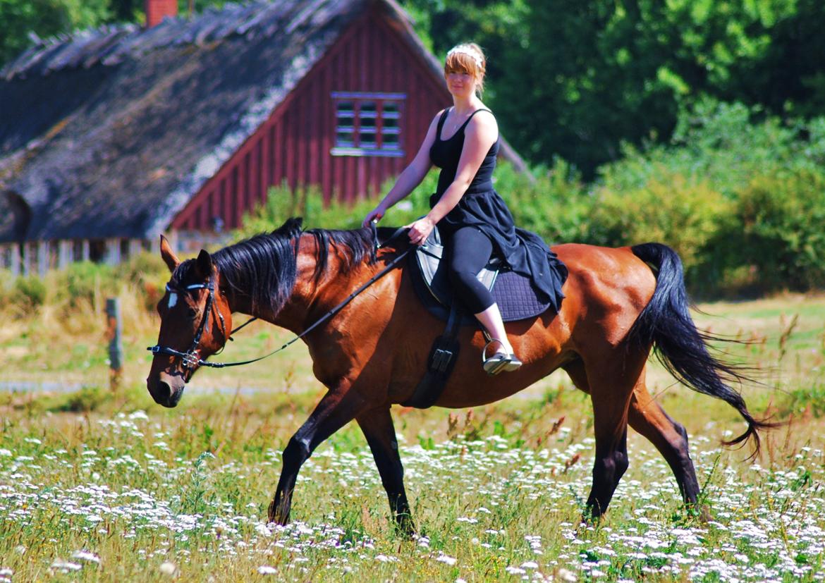 20-års fødselsdag med mine skønne muler :)  billede 3