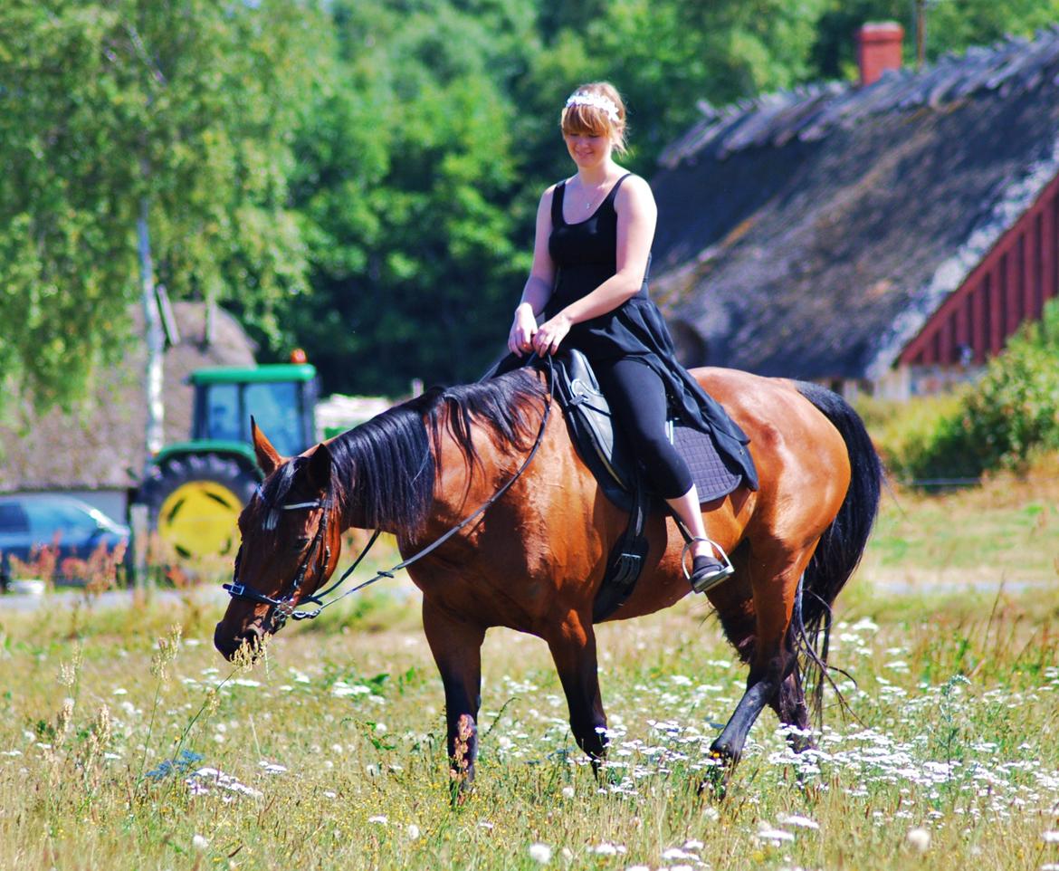 20-års fødselsdag med mine skønne muler :)  billede 4