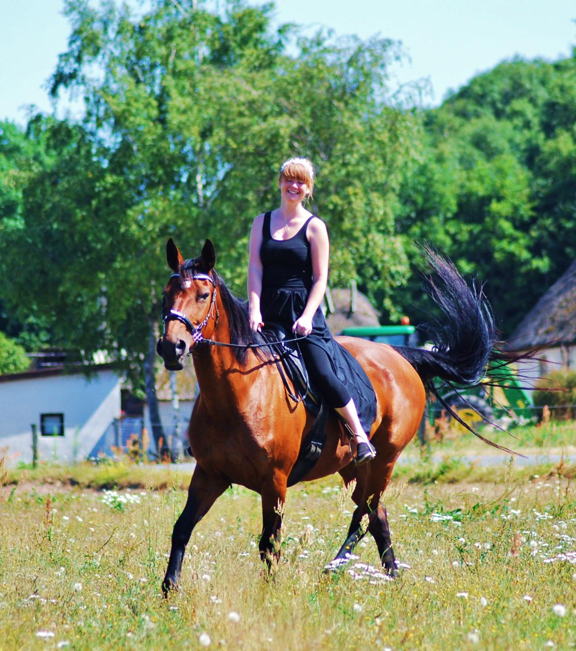 20-års fødselsdag med mine skønne muler :)  billede 5