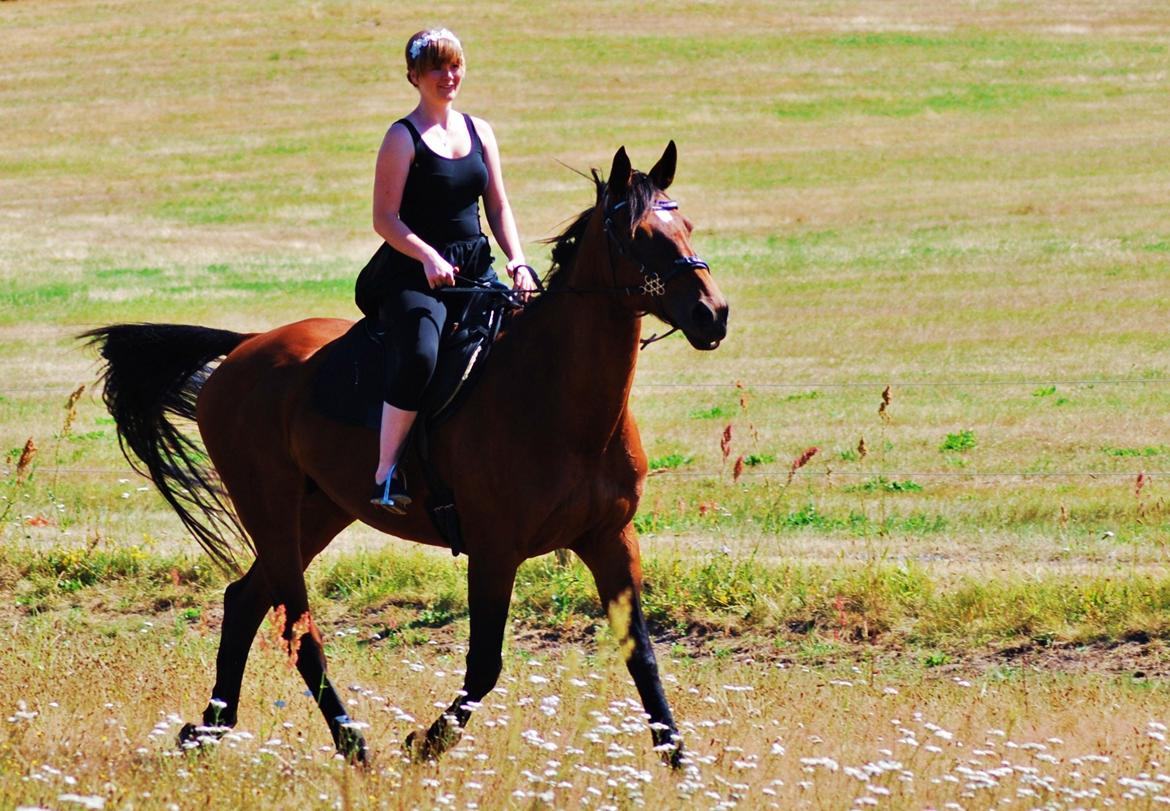 20-års fødselsdag med mine skønne muler :)  billede 6