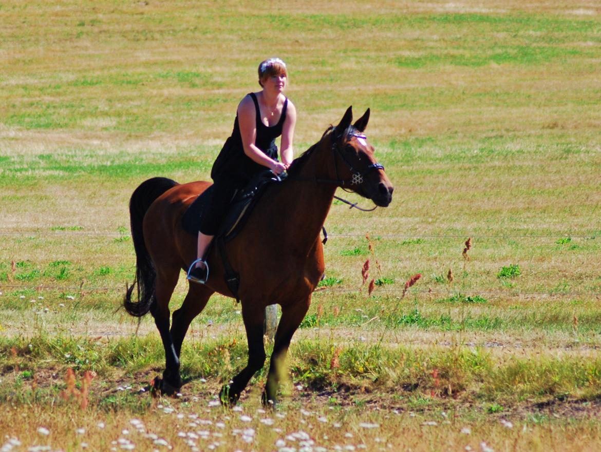 20-års fødselsdag med mine skønne muler :)  billede 7