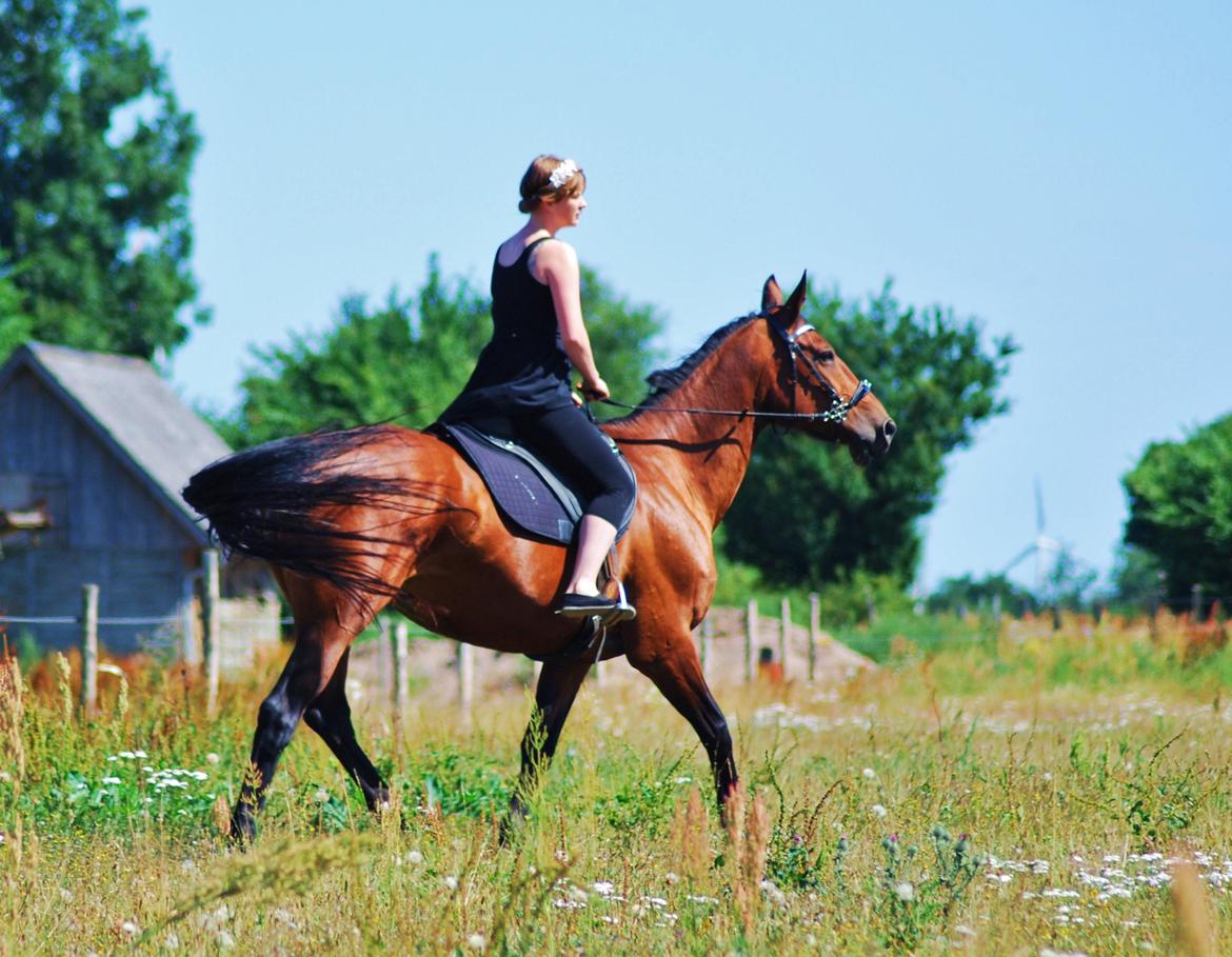20-års fødselsdag med mine skønne muler :)  billede 8