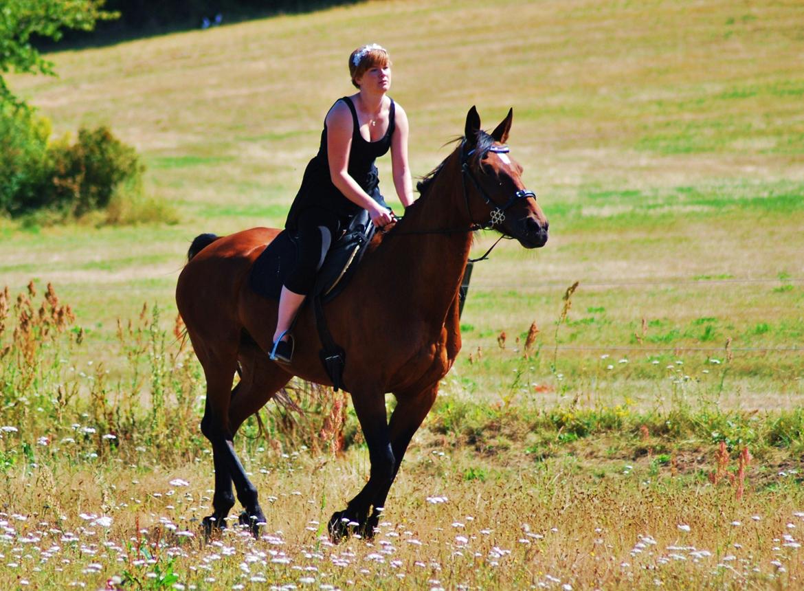 20-års fødselsdag med mine skønne muler :)  billede 9