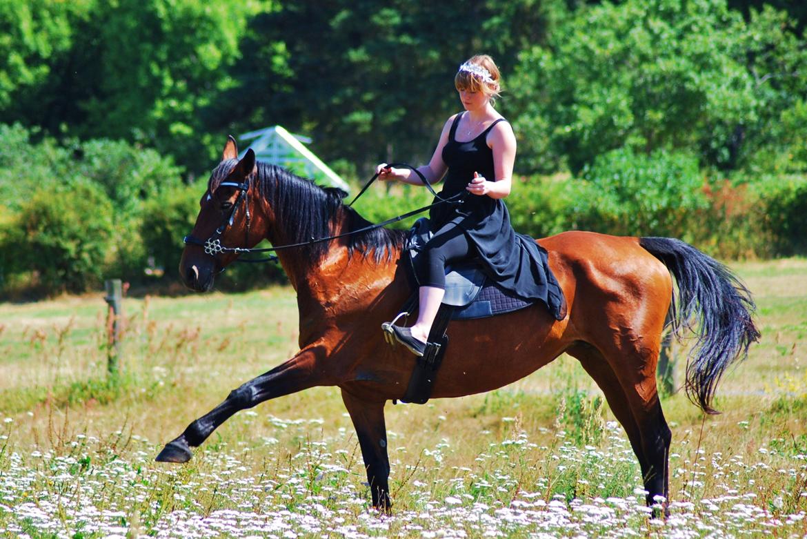 20-års fødselsdag med mine skønne muler :)  billede 11