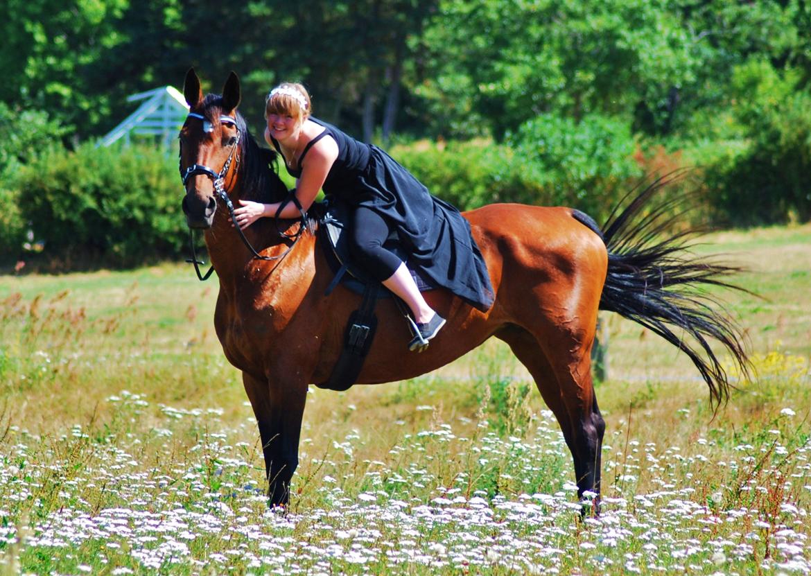 20-års fødselsdag med mine skønne muler :)  billede 14