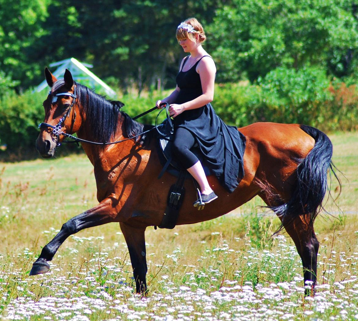 20-års fødselsdag med mine skønne muler :)  billede 12
