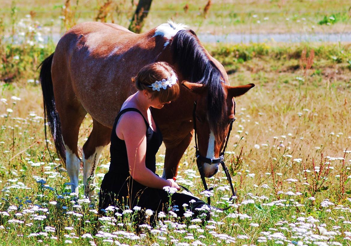20-års fødselsdag med mine skønne muler :)  billede 26