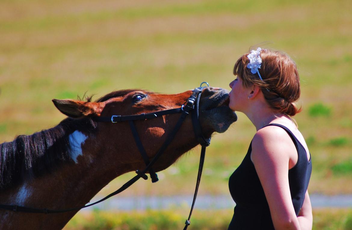 20-års fødselsdag med mine skønne muler :)  billede 27