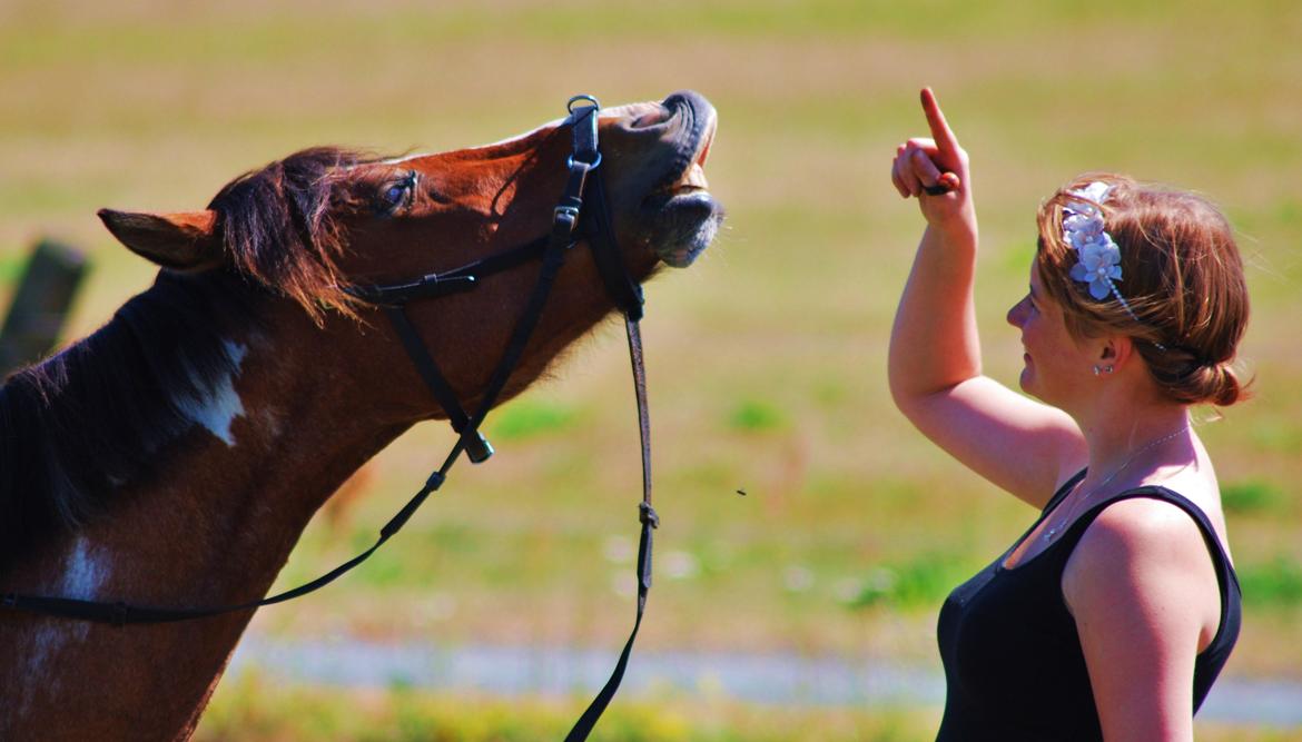 20-års fødselsdag med mine skønne muler :)  billede 28