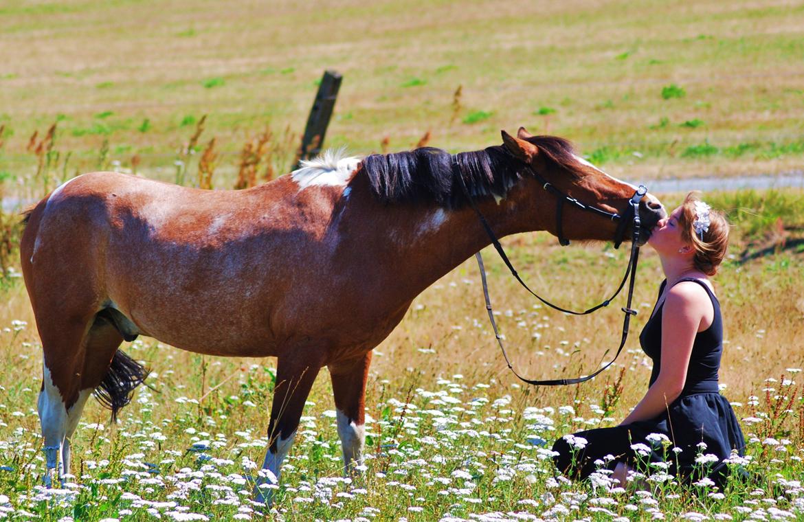 20-års fødselsdag med mine skønne muler :)  billede 29