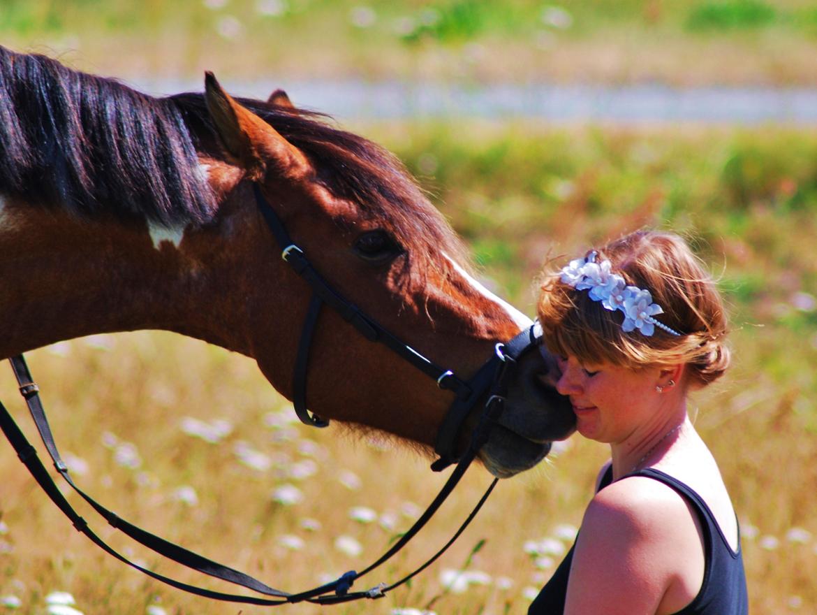20-års fødselsdag med mine skønne muler :)  billede 30