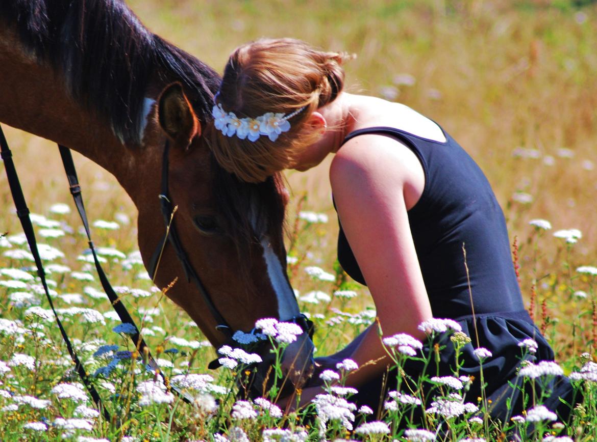20-års fødselsdag med mine skønne muler :)  billede 31