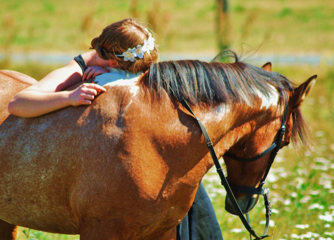 20-års fødselsdag med mine skønne muler :)  billede 32