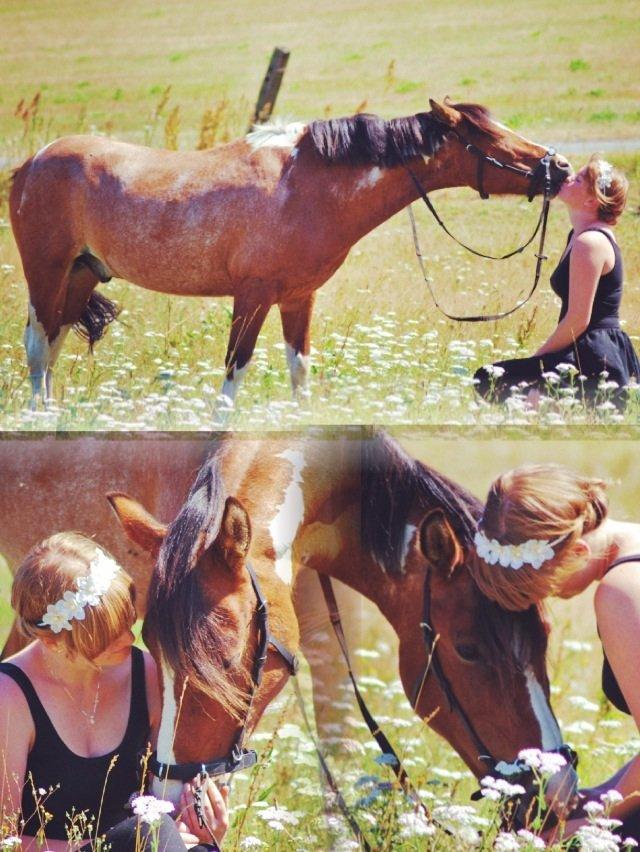 20-års fødselsdag med mine skønne muler :)  billede 23