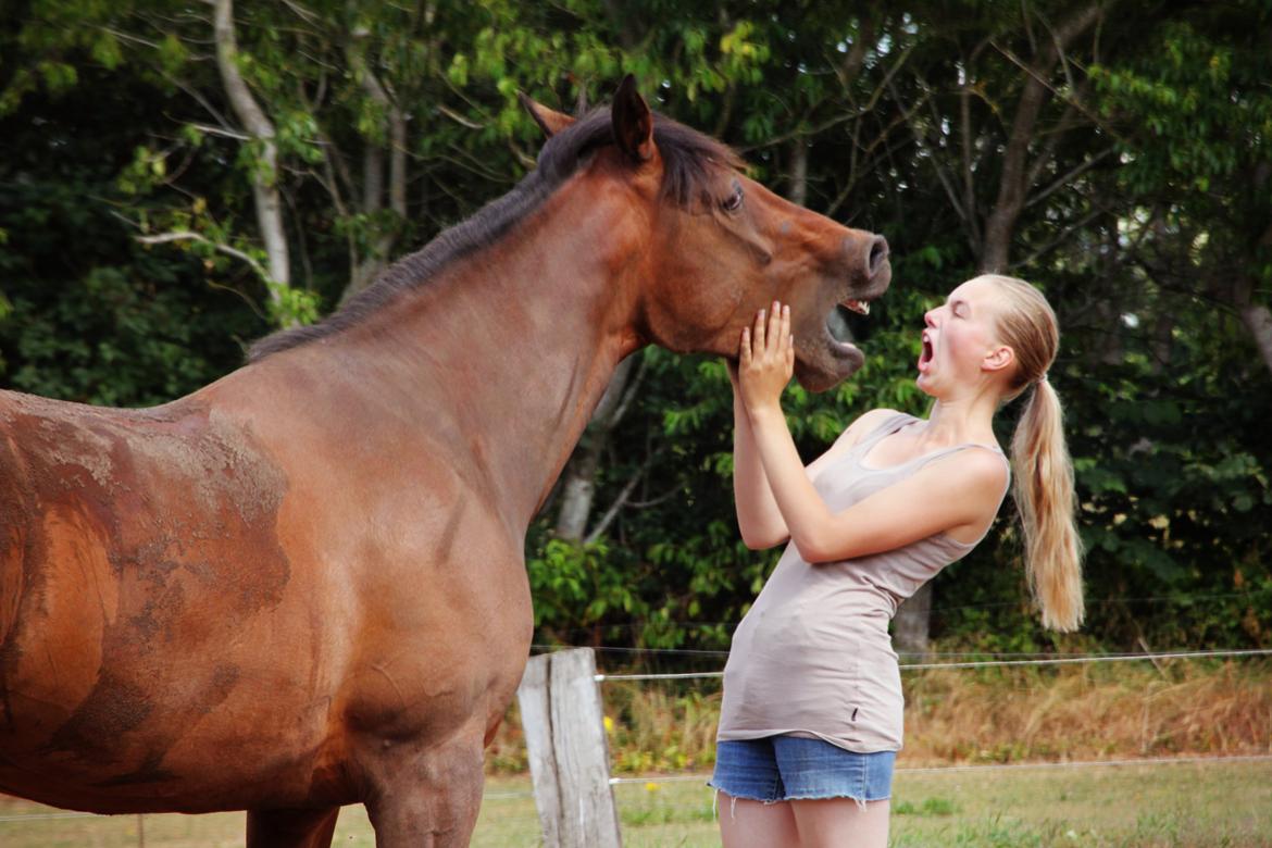 Vores billedebog. - Gaaaaaaaabe! xD billede 106