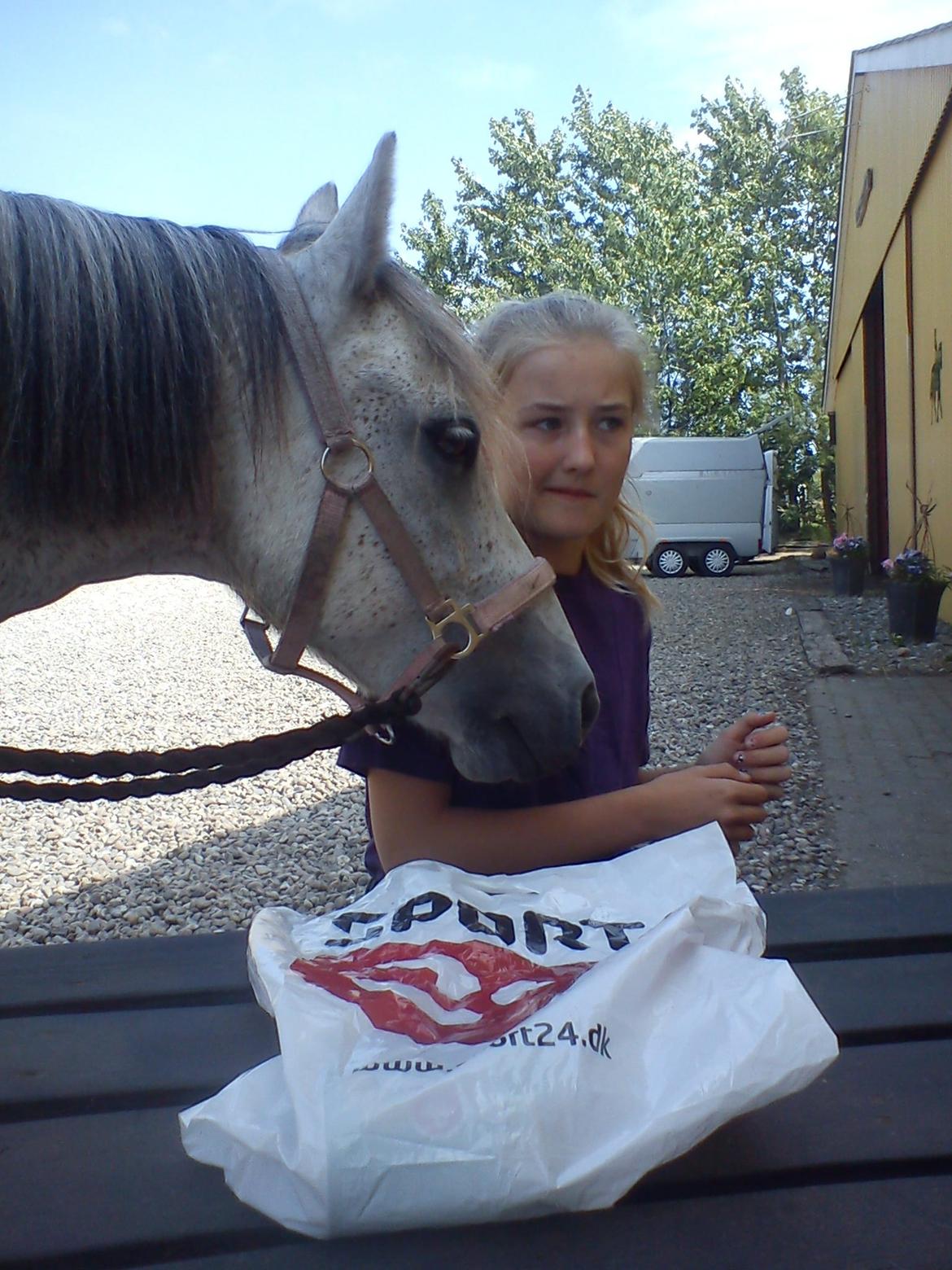 Holsted Rideskole!!! <3 - Cocoon og Emilie er frokost kammerater!! :-) billede 1