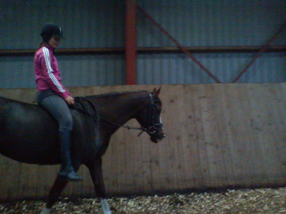 Holsted Rideskole!!! <3 - Jasmin - træning billede 34