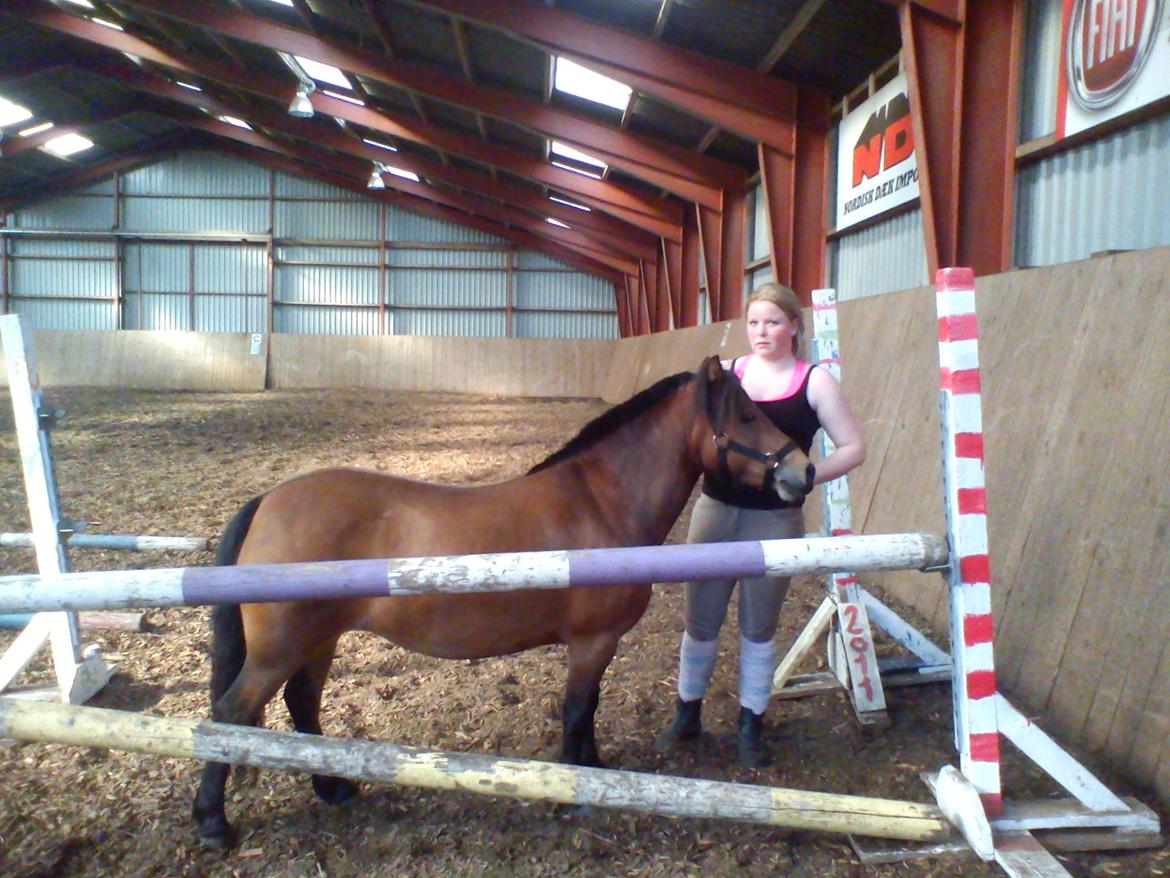 Holsted Rideskole!!! <3 - Sanne- Den nye OL hest <3 hun er oppe og springe LB-højde!    billede 40