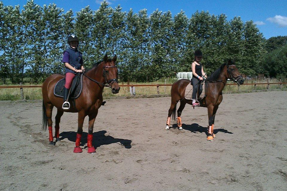 Holsted Rideskole!!! <3 - Fair og Freja - Vixi og Stella billede 41