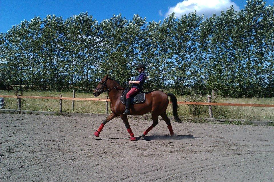 Holsted Rideskole!!! <3 - Fair og Freja billede 43