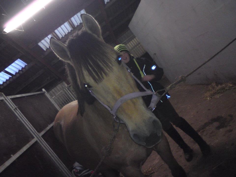 Holsted Rideskole!!! <3 - Ronja og Pernille billede 44