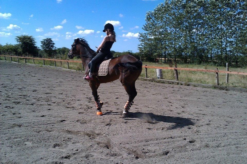 Holsted Rideskole!!! <3 - Vixi og Stella billede 46