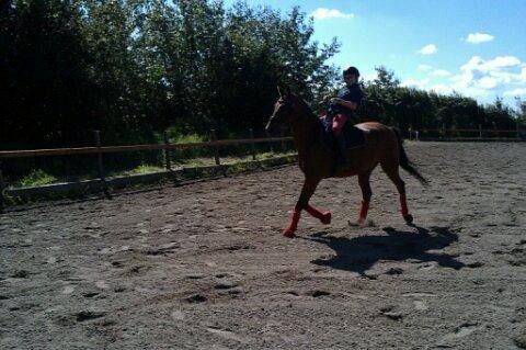 Holsted Rideskole!!! <3 - Fair og Freja billede 50