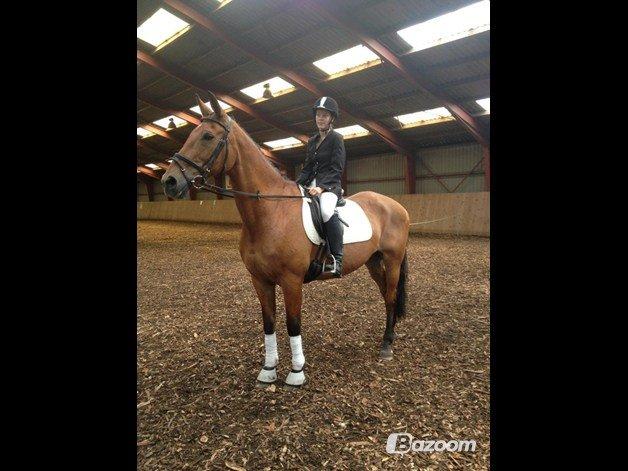 Holsted Rideskole!!! <3 - Amadeus og jeg, vandt en 2 plads <3 billede 51