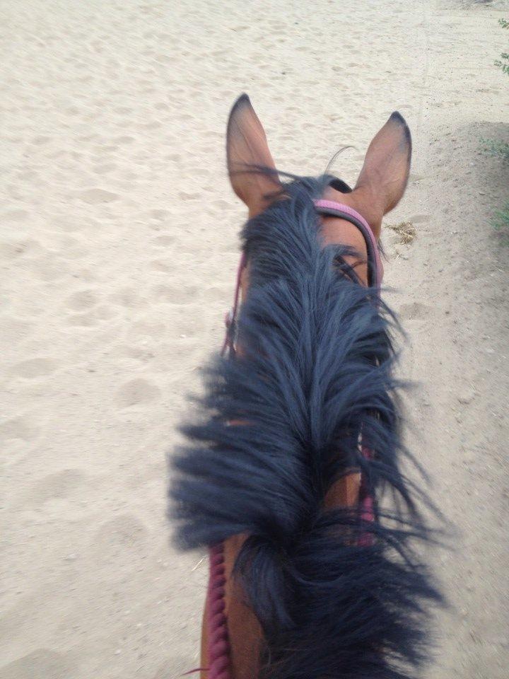 den dejligeste bebse :*  - Min babe!<3 billede 9