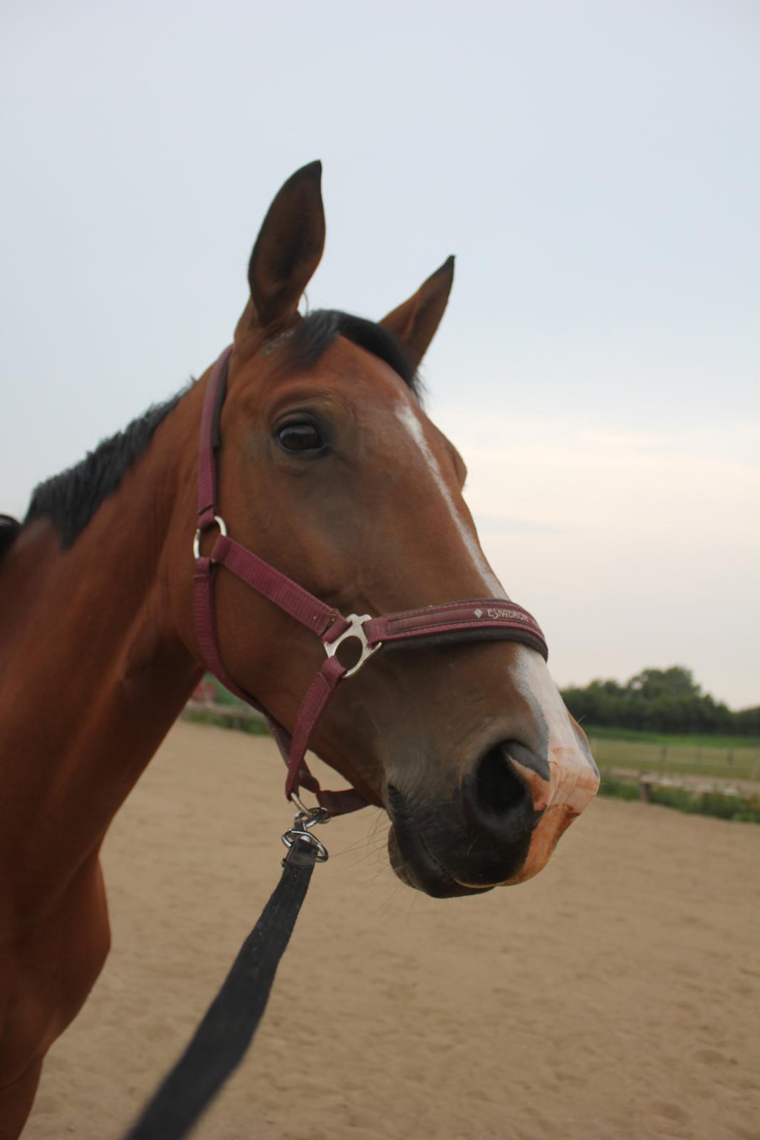 den dejligeste bebse :*  billede 1