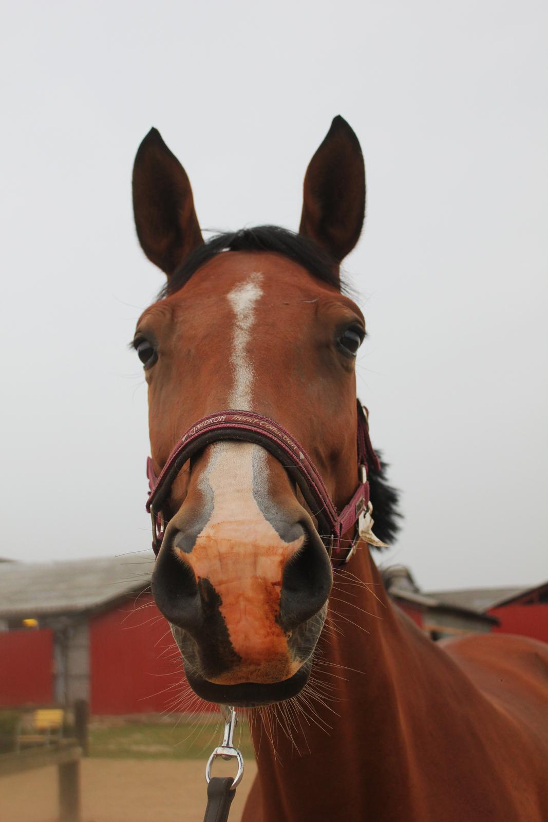 den dejligeste bebse :*  - Gad vide hvad du har spist ;-)  billede 3