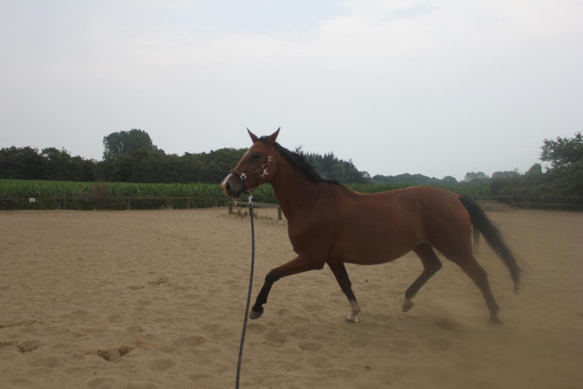 den dejligeste bebse :*  - thihi  billede 4