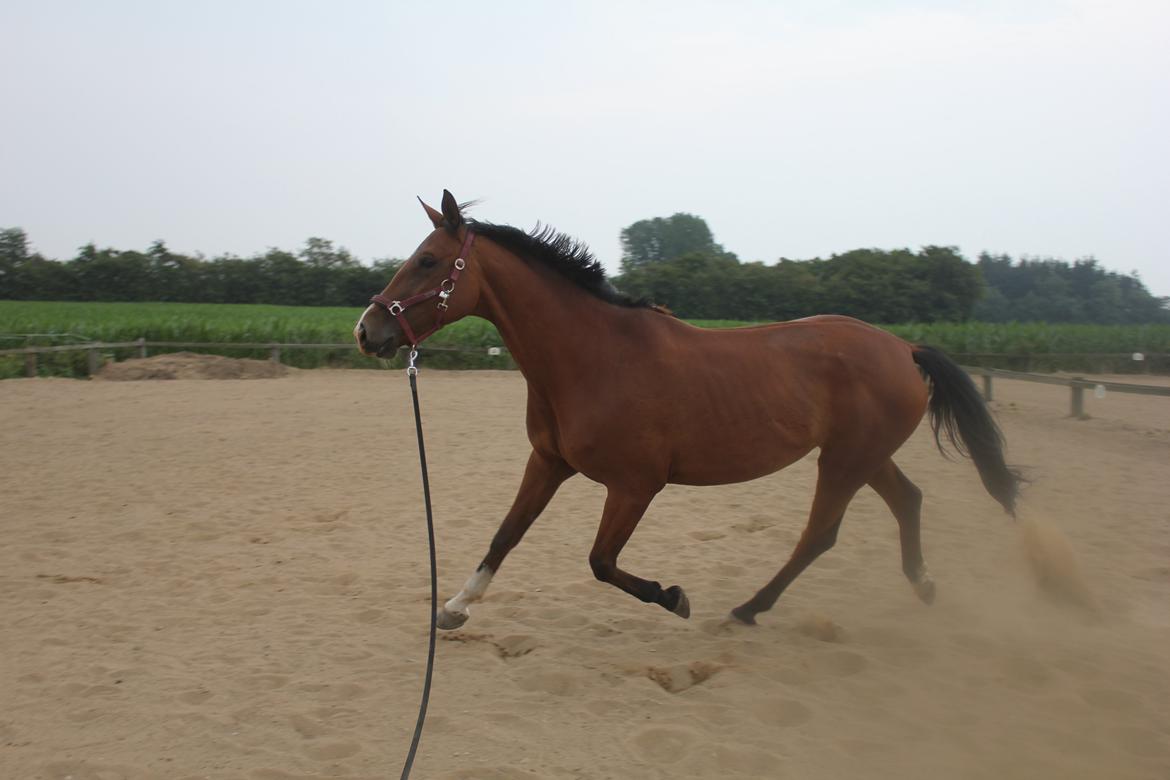 den dejligeste bebse :*  billede 5