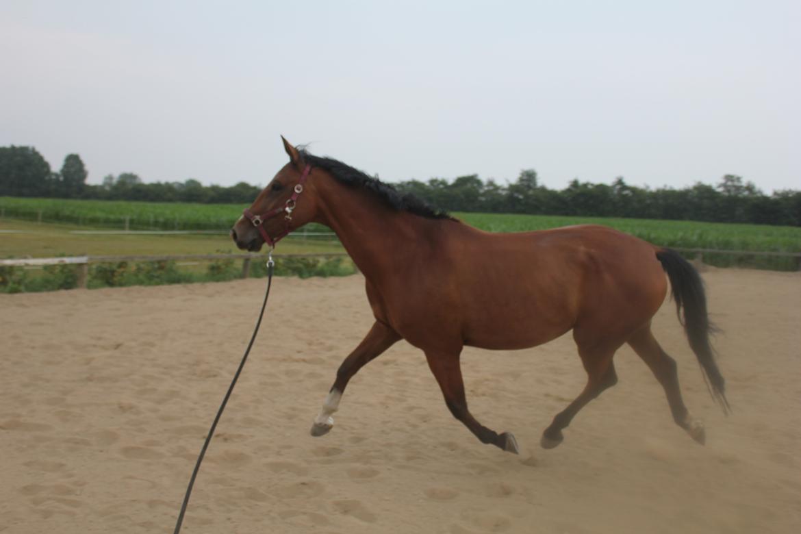 den dejligeste bebse :*  billede 6