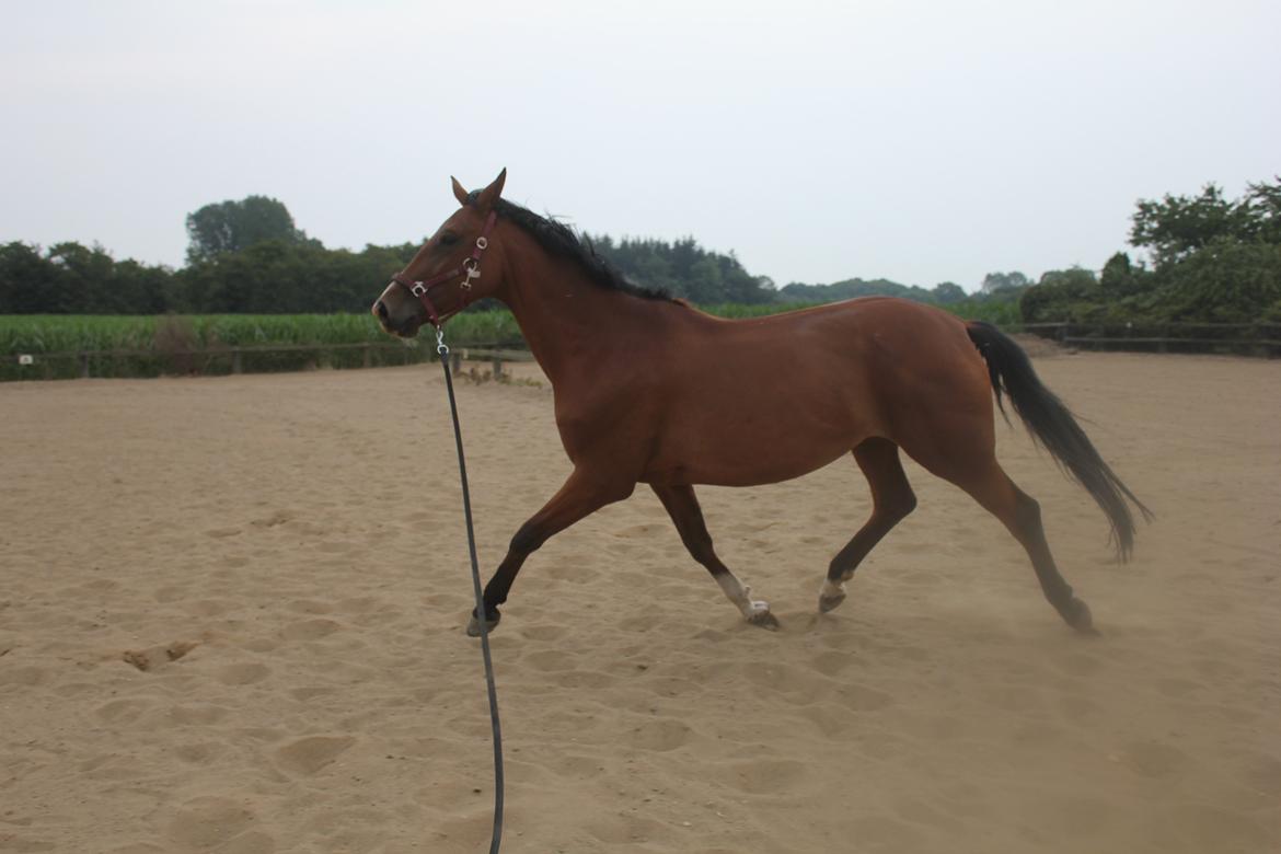 den dejligeste bebse :*  billede 7