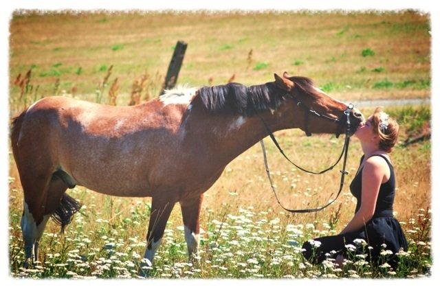 20-års fødselsdag med mine skønne muler :)  billede 18
