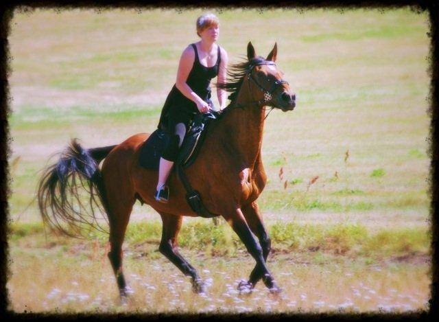 20-års fødselsdag med mine skønne muler :)  billede 16
