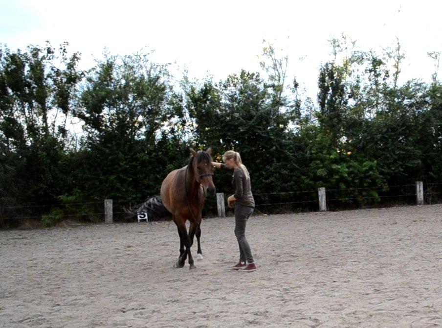 Vores billedebog. - Sidebevægelser!! (': billede 110