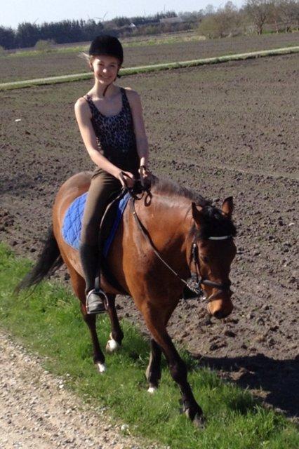 55 DAGE PÅ HESTEGALLERI - Dag 4: Et billede af din bedste skovtur: Det er godt nok ikke en skovtur men bare en tur. billede 4