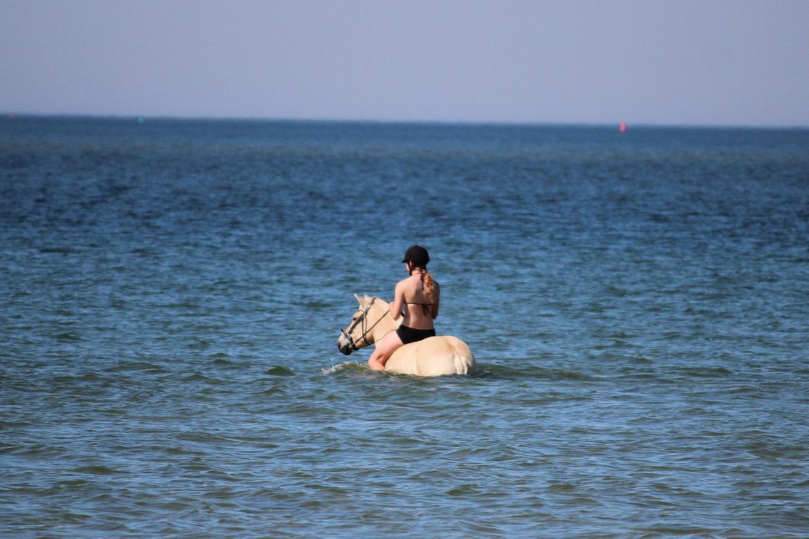 På ferie til Rømø - Wee, på vej ud for at svømme(Det har jeg desværre kun på video). billede 3