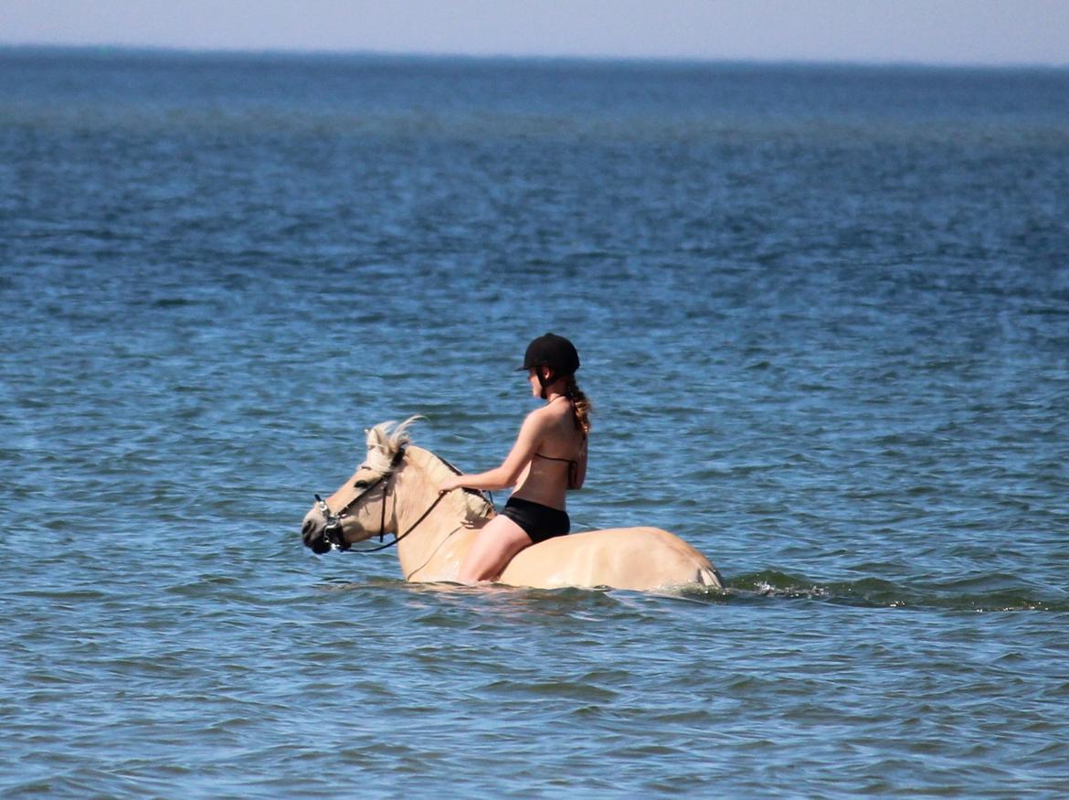 På ferie til Rømø - Freja og Julie i det store blå hav. billede 4