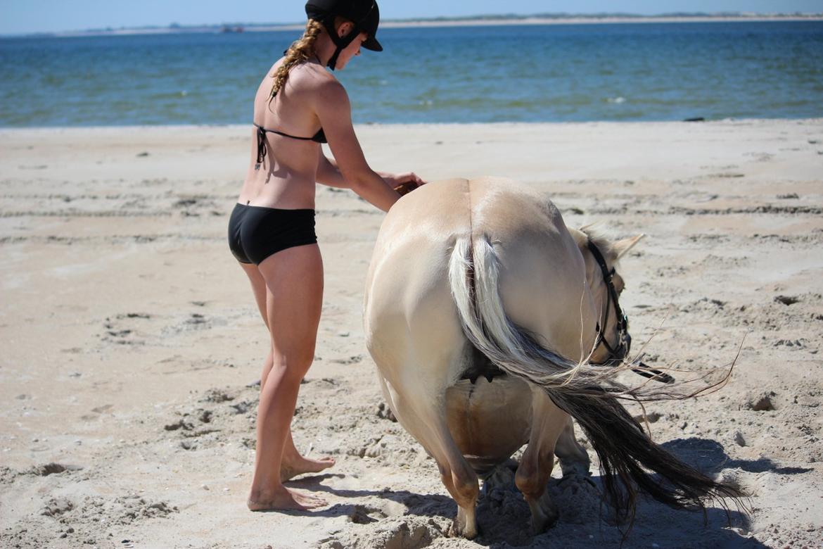 På ferie til Rømø - Freja demonstrerer "ligge ned" på stranden. Hvilket vi gjorde flere gange i løbet af ugen. billede 7