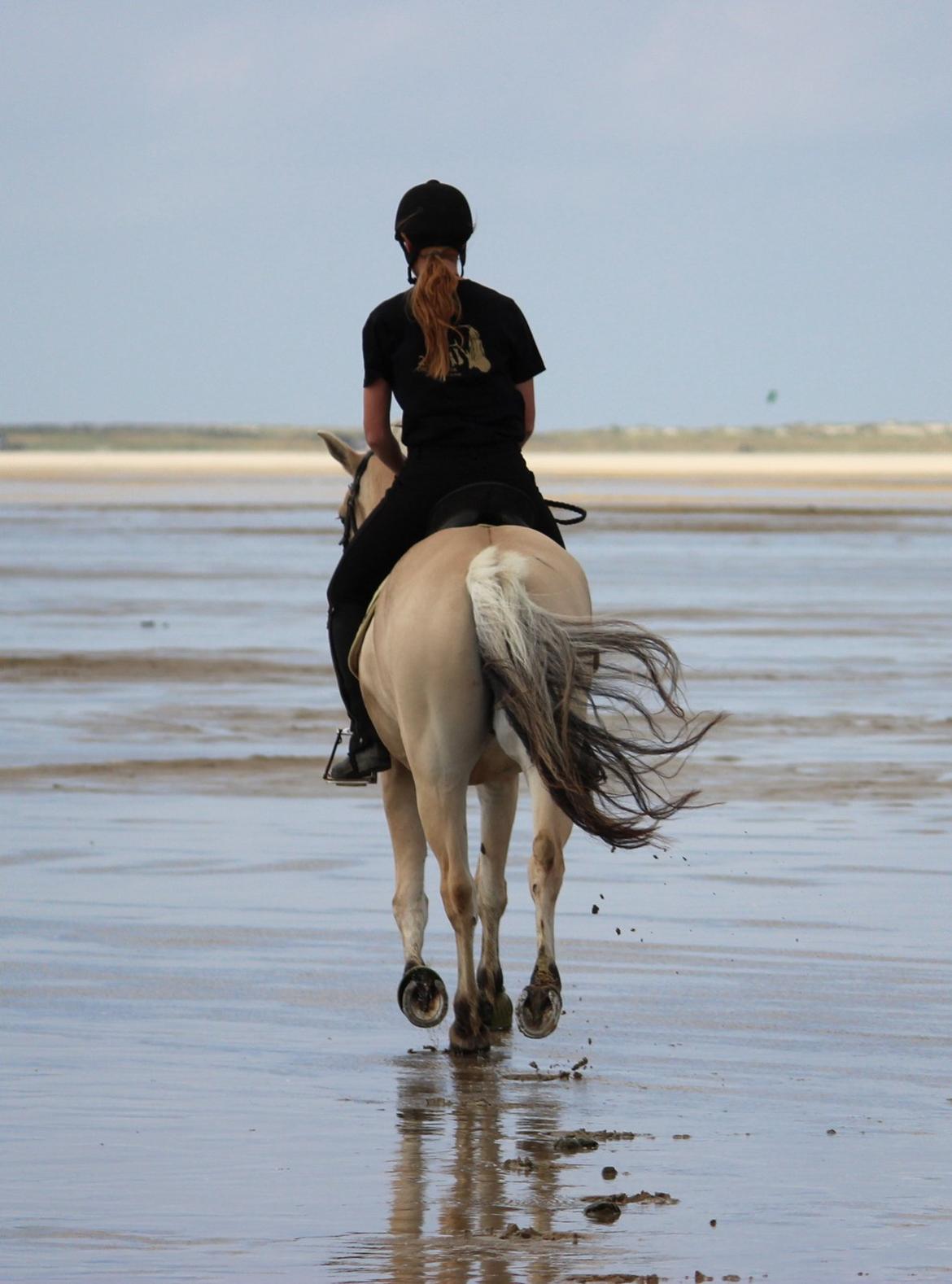 På ferie til Rømø - En af de første dage på stranden. billede 11