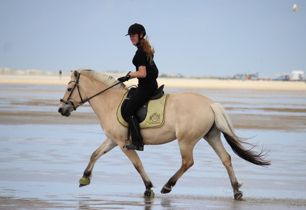 På ferie til Rømø - Trav-trav-trav billede 13