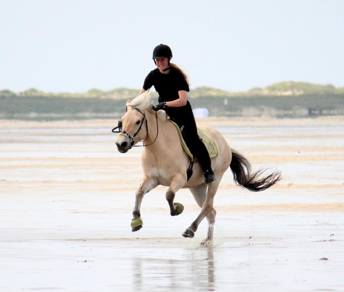 På ferie til Rømø - Galop billede 14